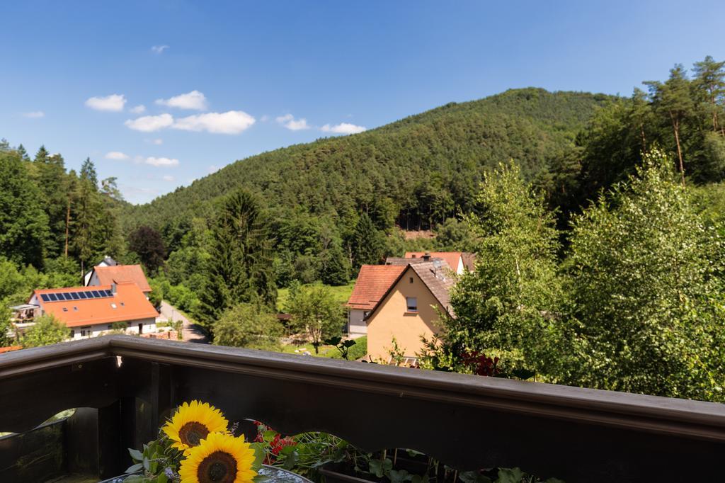 Hotel Die Kleine Blume Erfweiler Exterior photo
