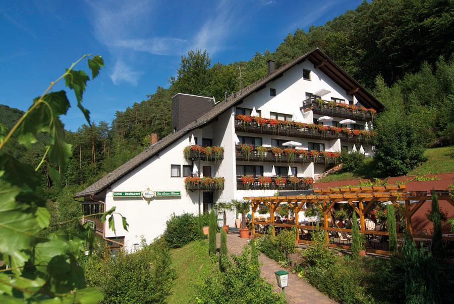 Hotel Die Kleine Blume Erfweiler Exterior photo